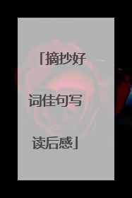 摘抄好词佳句写读后感