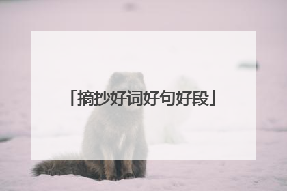 摘抄好词好句好段