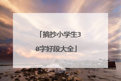 摘抄小学生30字好段大全