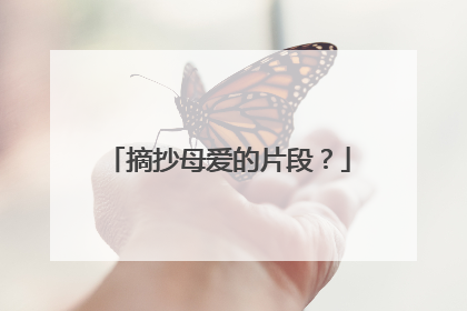 摘抄母爱的片段？