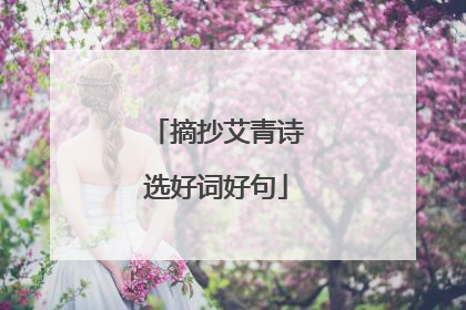 摘抄艾青诗选好词好句