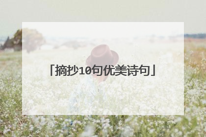 摘抄10句优美诗句