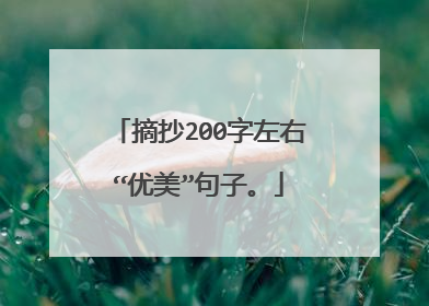摘抄200字左右“优美”句子。