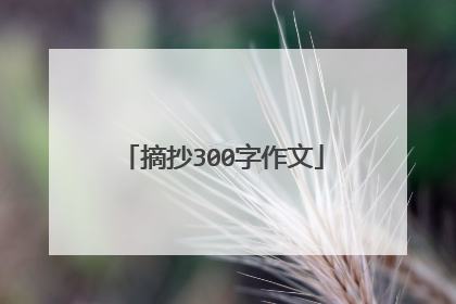 摘抄300字作文