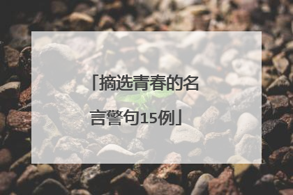 摘选青春的名言警句15例