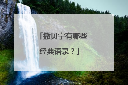 撒贝宁有哪些经典语录?