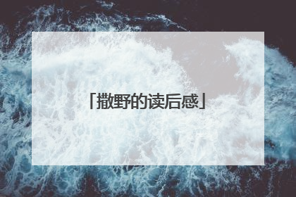 撒野的读后感