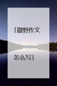 撒野作文怎么写