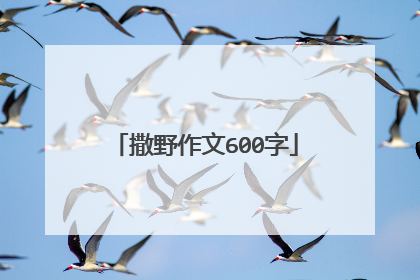 撒野作文600字