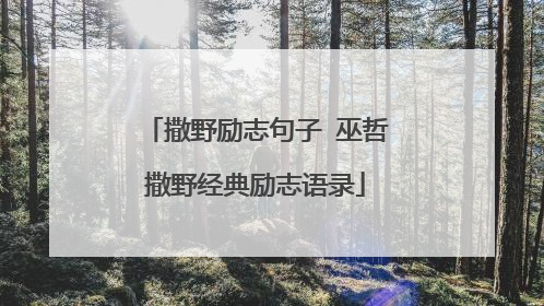 撒野励志句子 巫哲撒野经典励志语录