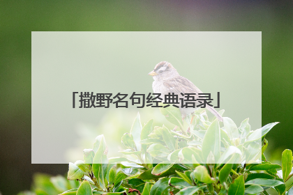 撒野名句经典语录