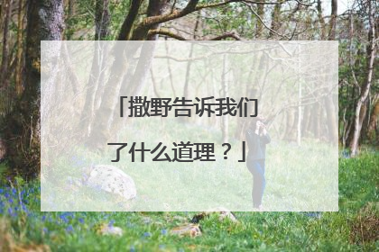 撒野告诉我们了什么道理？