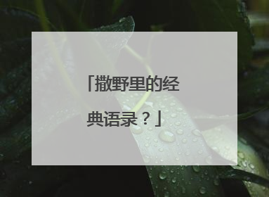 撒野里的经典语录?