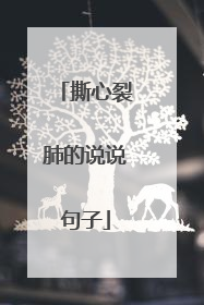 撕心裂肺的说说句子