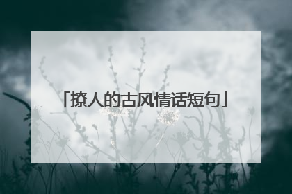 撩人的古风情话短句