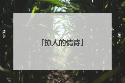 撩人的情诗