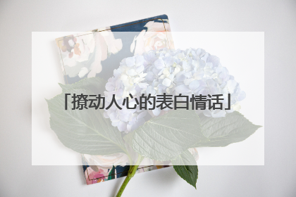 撩动人心的表白情话