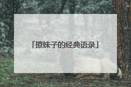 撩妹子的经典语录