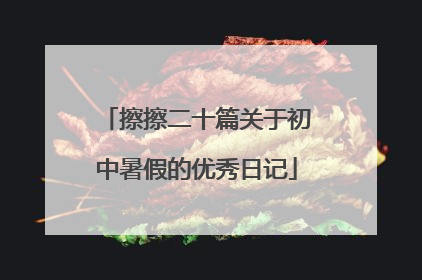 擦擦二十篇关于初中暑假的优秀日记