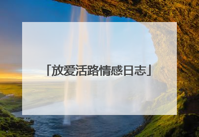 放爱活路情感日志