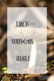 放下一切的心情说说