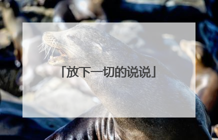 放下一切的说说