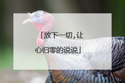 放下一切,让心归零的说说