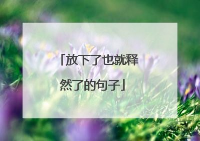 放下了也就释然了的句子