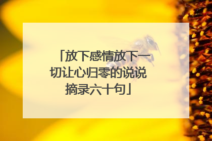 放下感情放下一切让心归零的说说摘录六十句