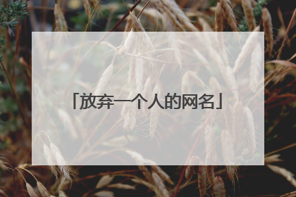 放弃一个人的网名