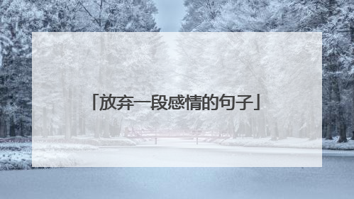 放弃一段感情的句子