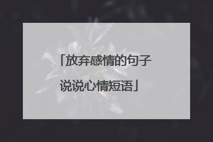 放弃感情的句子说说心情短语