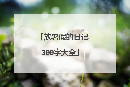 放暑假的日记300字大全