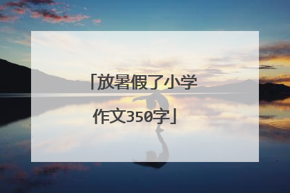放暑假了小学作文350字