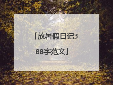 放暑假日记300字范文