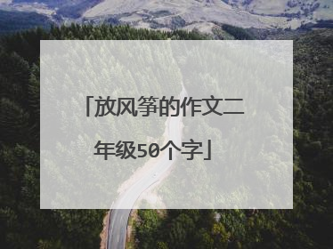 放风筝的作文二年级50个字