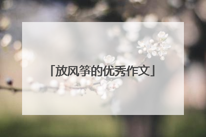 放风筝的优秀作文