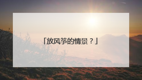 放风筝的情景?