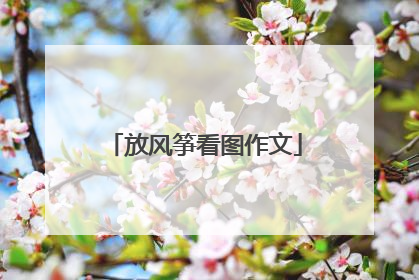 放风筝看图作文