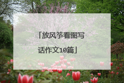 放风筝看图写话作文10篇