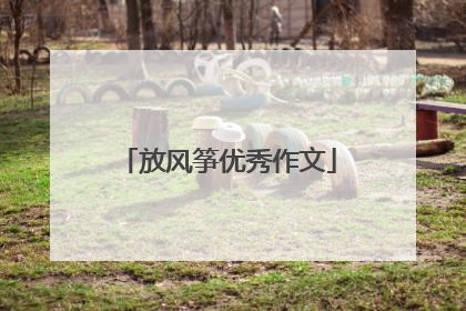 放风筝优秀作文