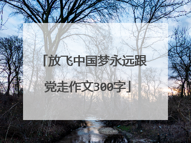 放飞中国梦永远跟党走作文300字