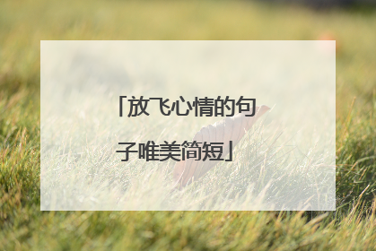 放飞心情的句子唯美简短