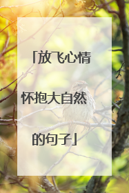 放飞心情怀抱大自然的句子