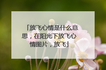 放飞心情是什么意思,在阳光下放飞心情图片,放飞