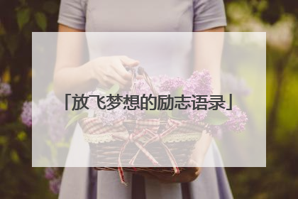 放飞梦想的励志语录