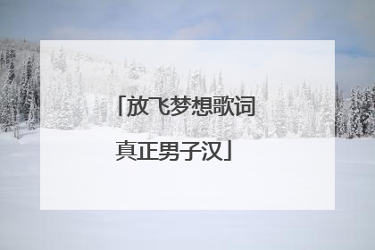 放飞梦想歌词真正男子汉