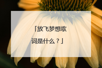 放飞梦想歌词是什么?