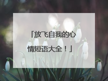 放飞自我的心情短语大全！