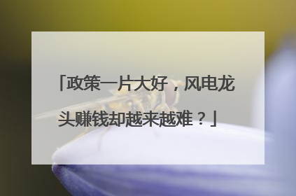 政策一片大好，风电龙头赚钱却越来越难？